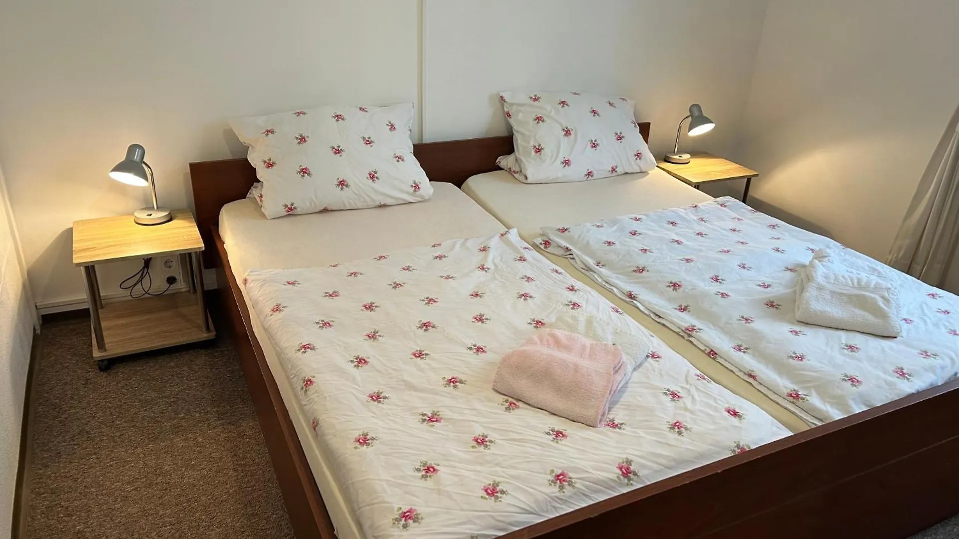 Hotel Haus Schwan Koeln 科隆